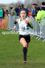 Girls under-15s 2022 Northern Cross Country Champs., Pontefract. Photo: David T. Hewitson/Sports for All Pics